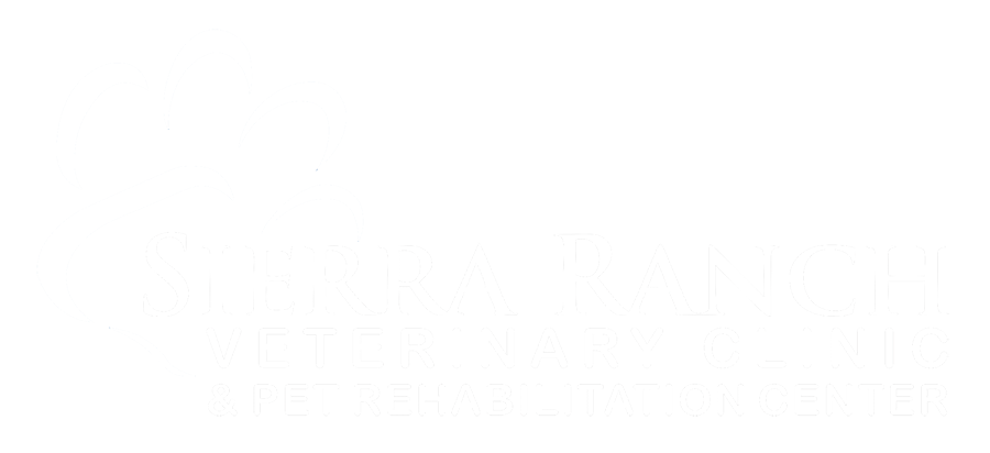 Sierra Ranch Veterinary Clinic in Roseville, CA | Veterinary Care